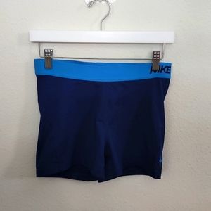 Nike, Large, Blue Dry Fit Shorts